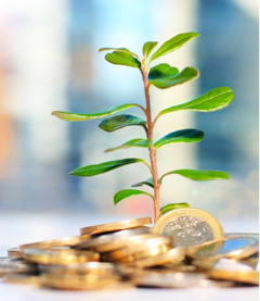 NCube solutions for Investment industry